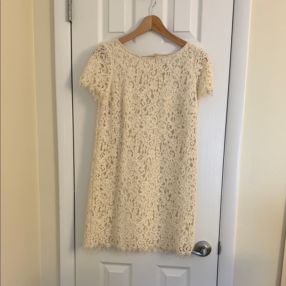 Zara Cream Floral Lace Mini Dress